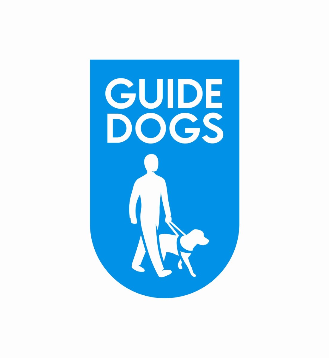 Good Names For Guide Dogs