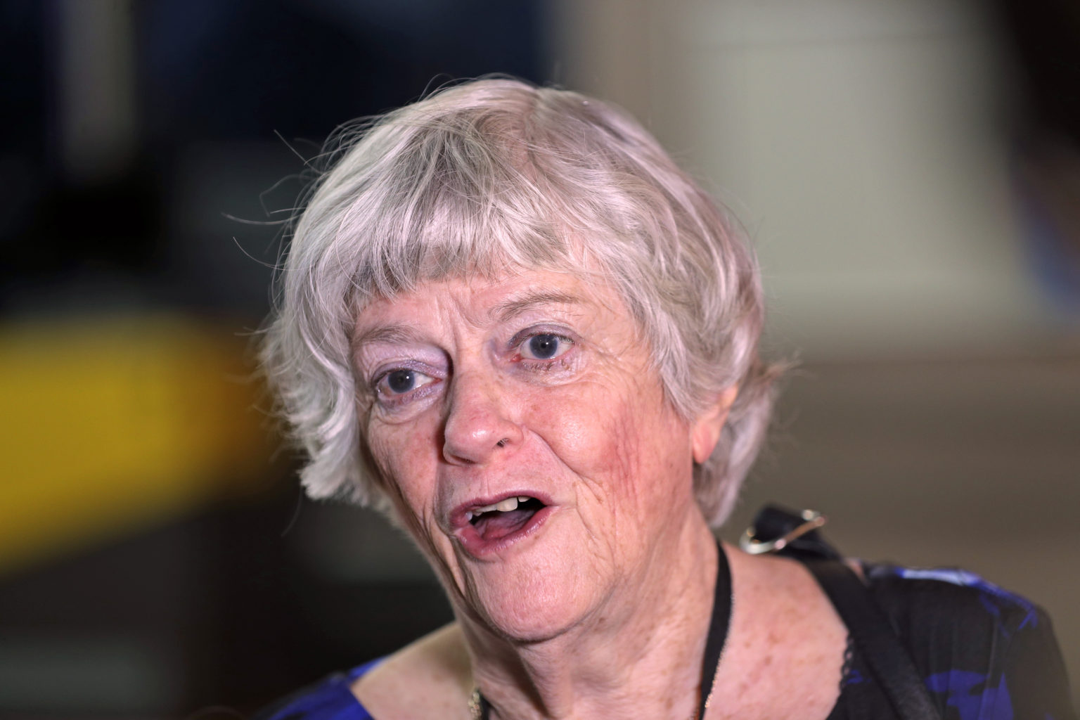 Ann Widdecombe What You Need To Know Uk