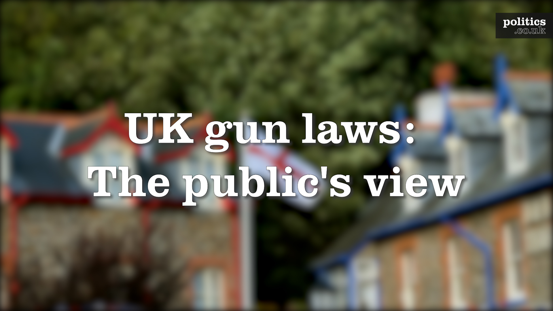 UK Gun Laws The Public S View Politics Co Uk   Gun Laws 